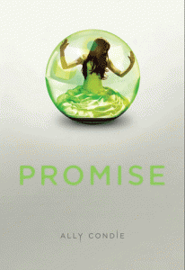 La bande annonce du prochain roman Gallimard : Promise